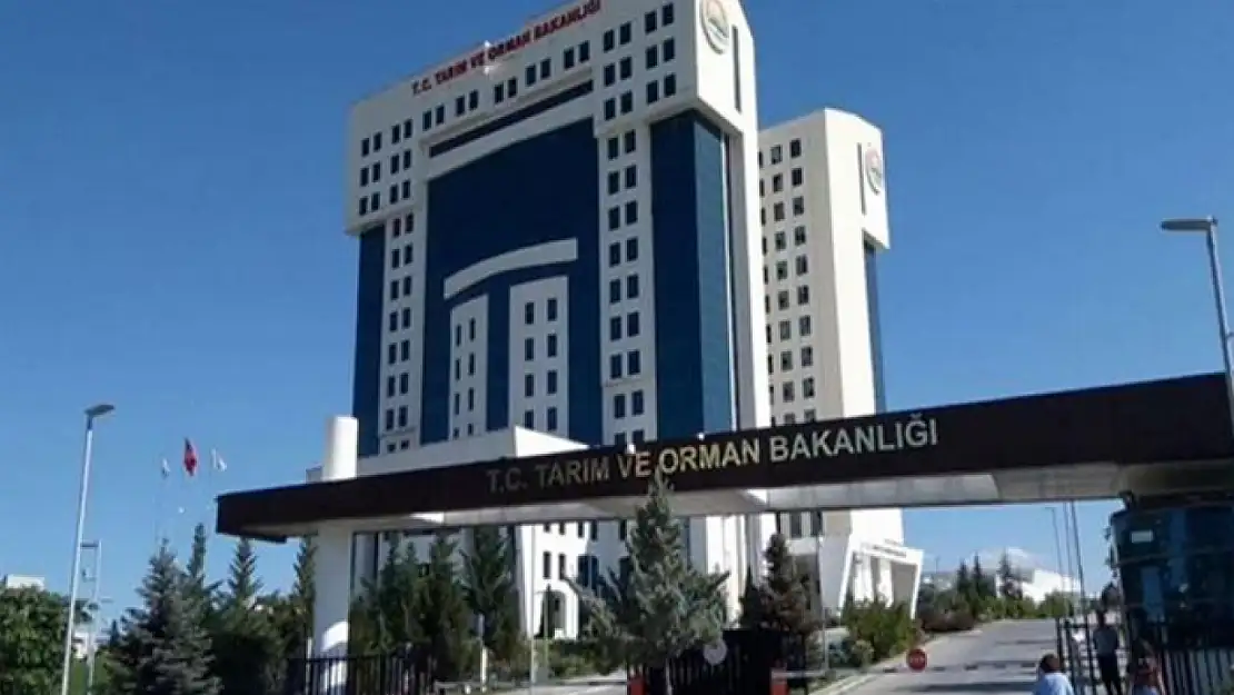 Tarım ve Orman Bakanlığından nesli tükenme tehdidi altında olan turnalara sıkı takip