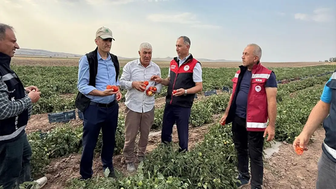 Tarım ve Orman İl Müdürü Dr. Şişman, Tuşba'da üreticileri ziyaret etti