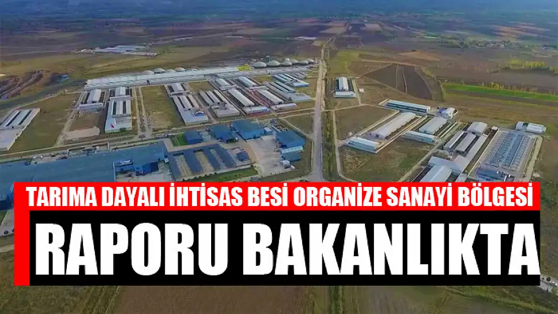 TARIMA DAYALI İHTİSAS BESİ ORGANİZE SANAYİ BÖLGESİ RAPORU BAKANLIKTA