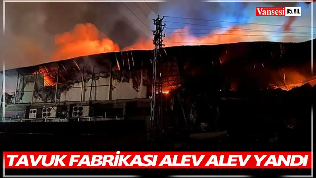 Tavuk fabrikası alev alev yandı