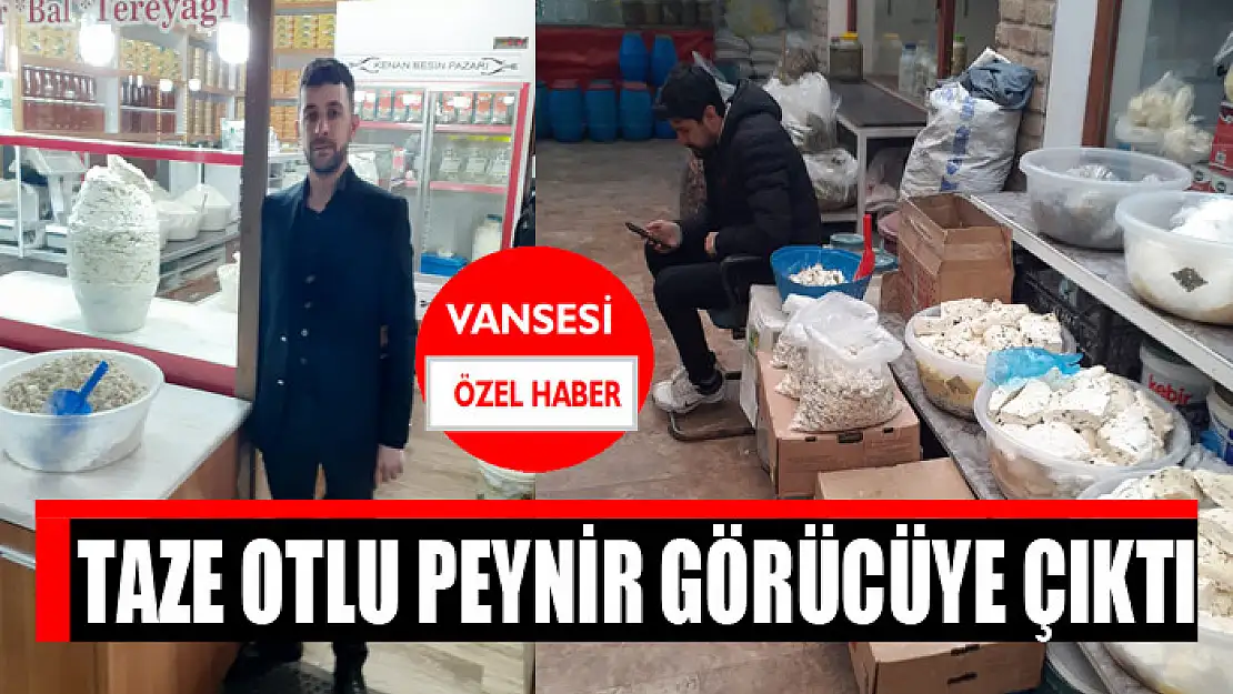 Taze otlu peynir görücüye çıktı