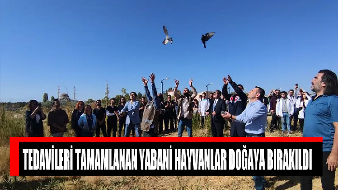  Tedavileri tamamlanan yabani hayvanlar doğaya bırakıldı