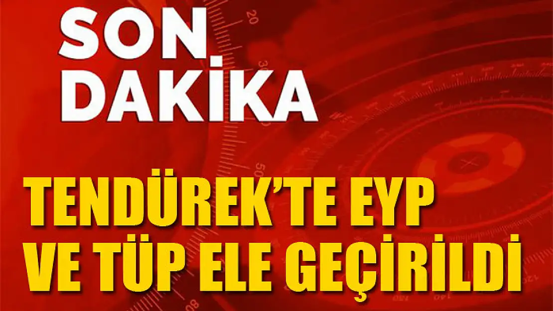 Tendürek'te EYP ve tüp ele geçirildi