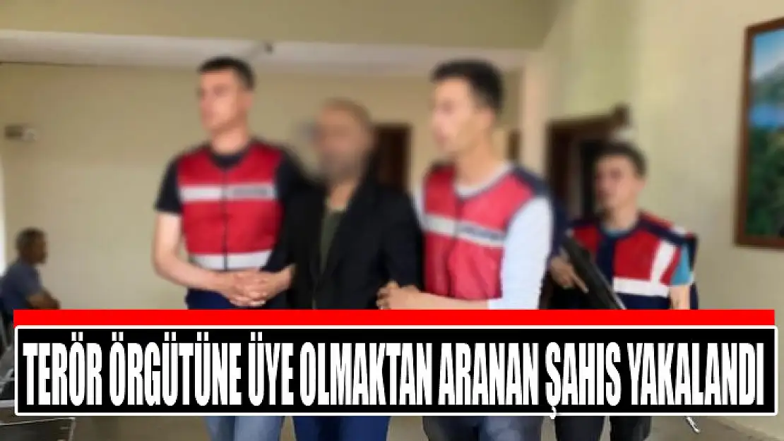 Terör örgütüne üye olmaktan aranan şahıs yakalandı