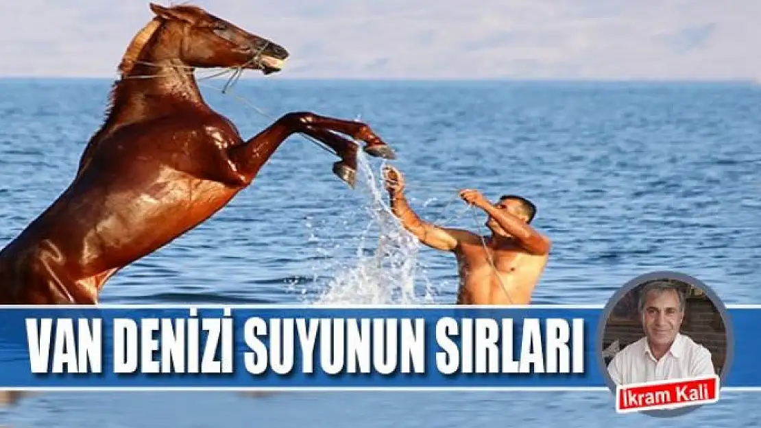 Van Denizi suyunun sırları