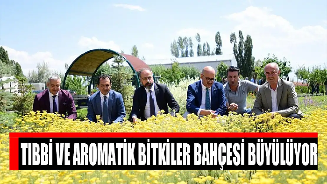 Tıbbi ve Aromatik Bitkiler Bahçesi büyülüyor