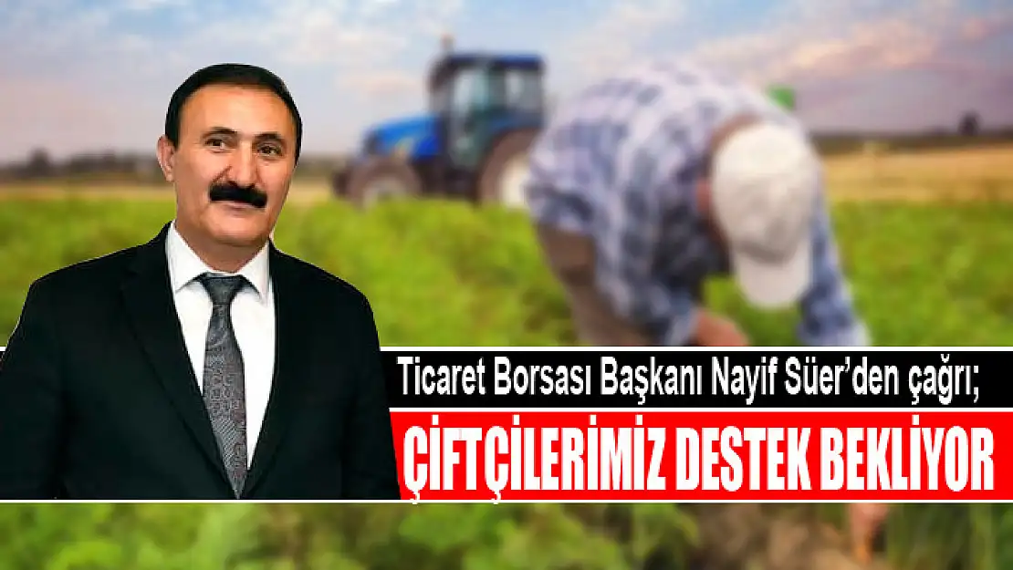 Ticaret Borsası Başkanı Nayif Süer'den çağrı Çiftçilerimiz destek bekliyor