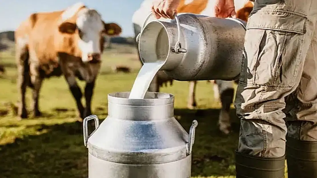 Ticari süt işletmelerince 1 milyon 14 bin 789 ton inek sütü toplandı