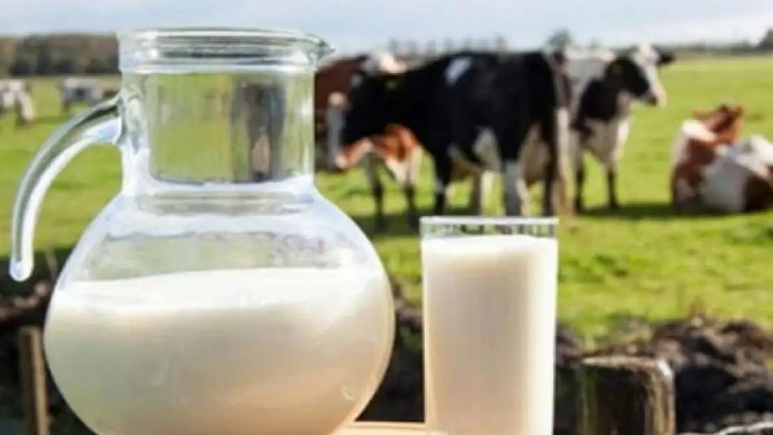 Ticari süt işletmelerince 934 bin 745 ton inek sütü toplandı