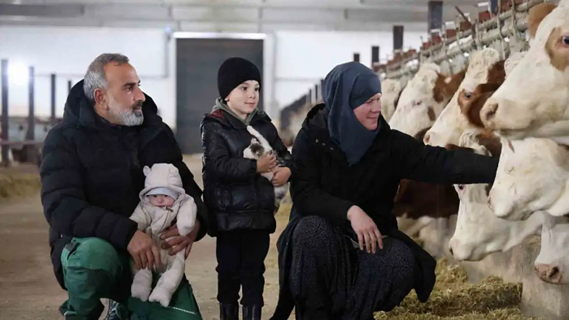 TKDK'dan aldığı destekle ülkesine dönüp çiftlik kurdu, 432 ton süt üretiyor