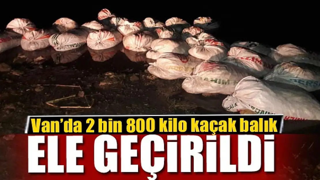 Van'da 2 bin 800 kilo kaçak balık ele geçirildi