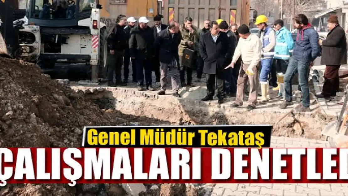 Genel Müdür Tekataş, çalışmaları denetledi 