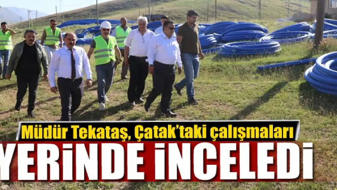 Müdür Tekataş, Çatak'taki çalışmaları yerinde inceledi