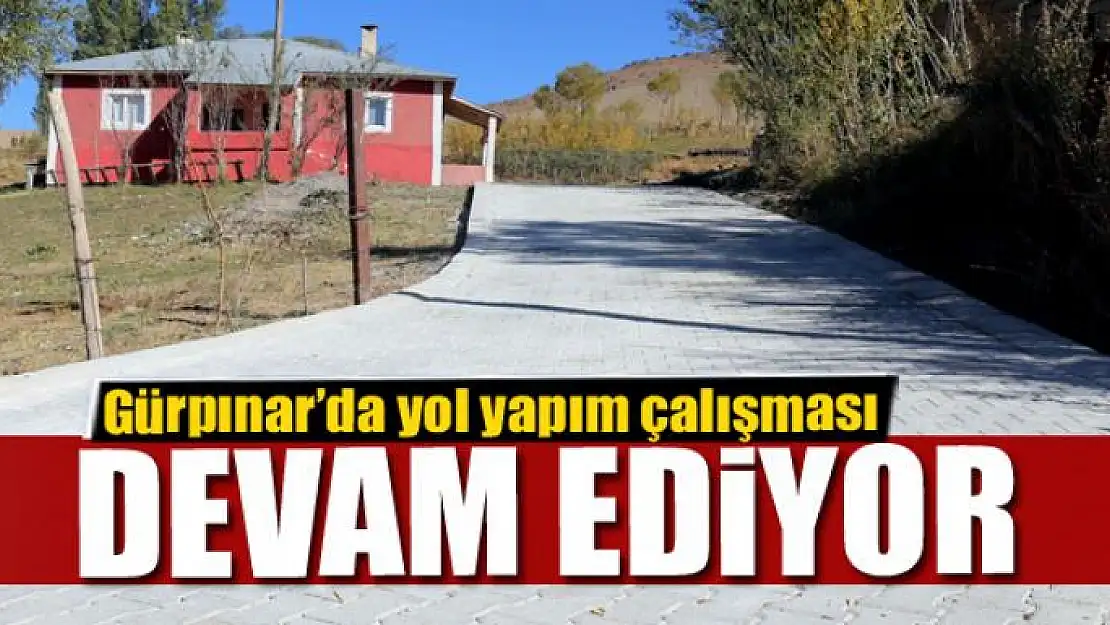 Gürpınar'da yol yapım çalışması 