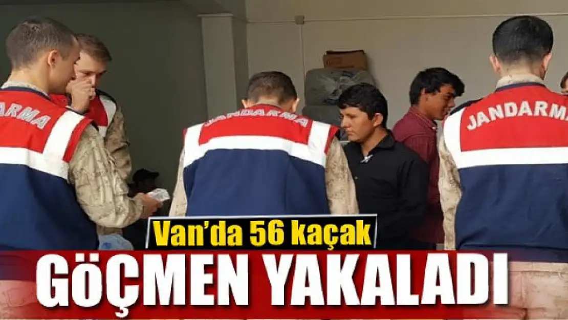 Van'da 56 kaçak göçmen yakaladı