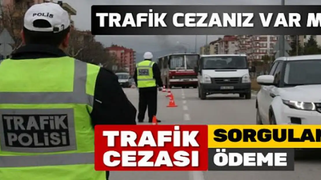 Trafik cezası sorgulama | Trafik cezası nasıl sorgulanır?