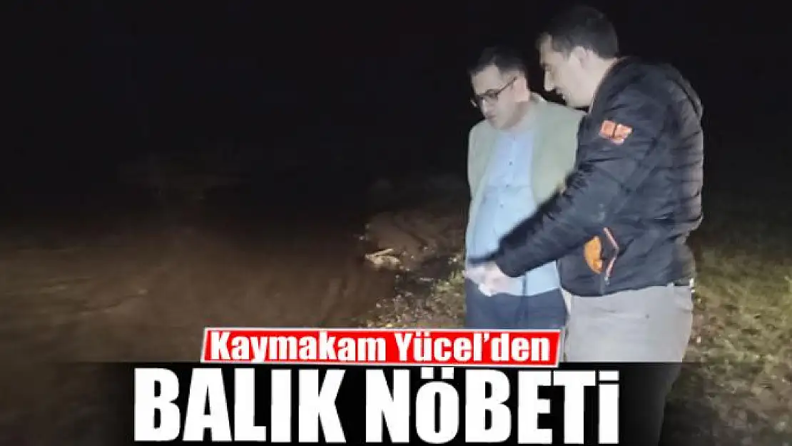 Kaymakam Yücel'den balık nöbeti 