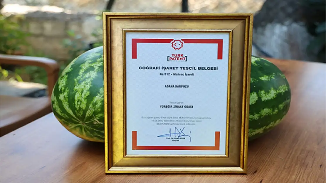 Türkiye'nin en iyi karpuzu tartışmaları sürüyor
