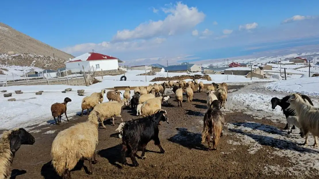 Türkiye'nin en yüksek rakımlı köyü Kışkılı, dron görüntüleriyle hayran bıraktı