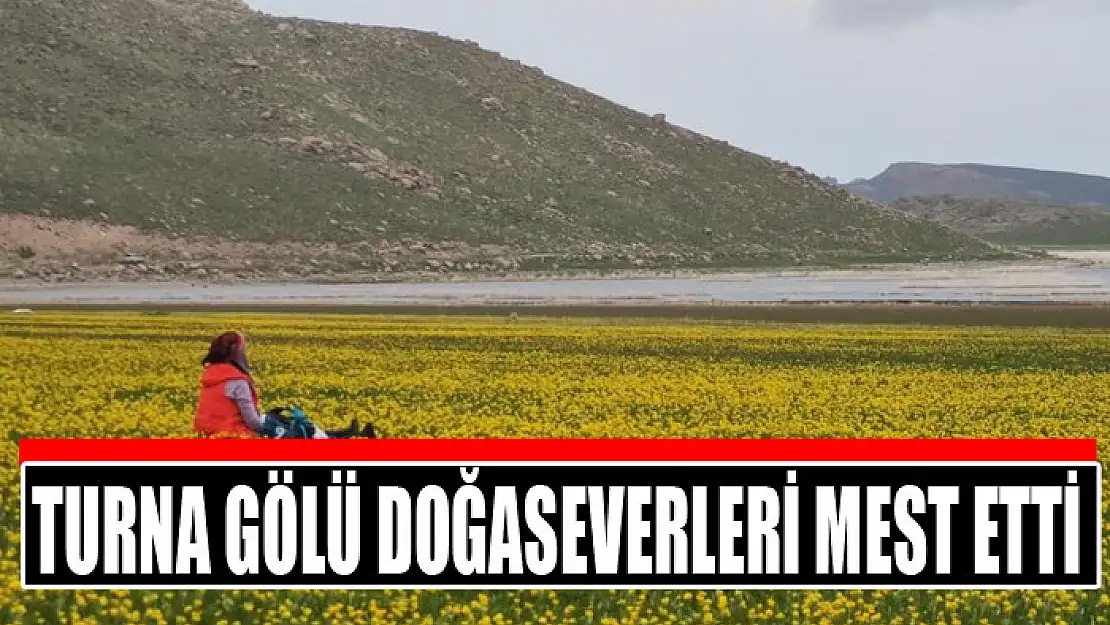 Turna Gölü doğaseverleri mest etti