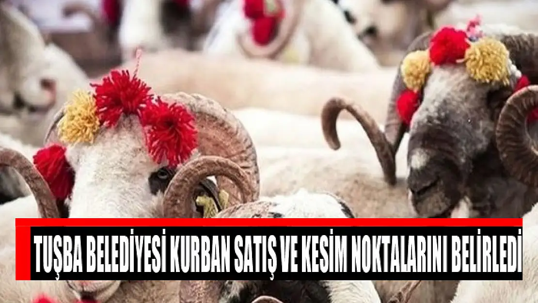 Tuşba Belediyesi kurban satış ve kesim noktalarını belirledi