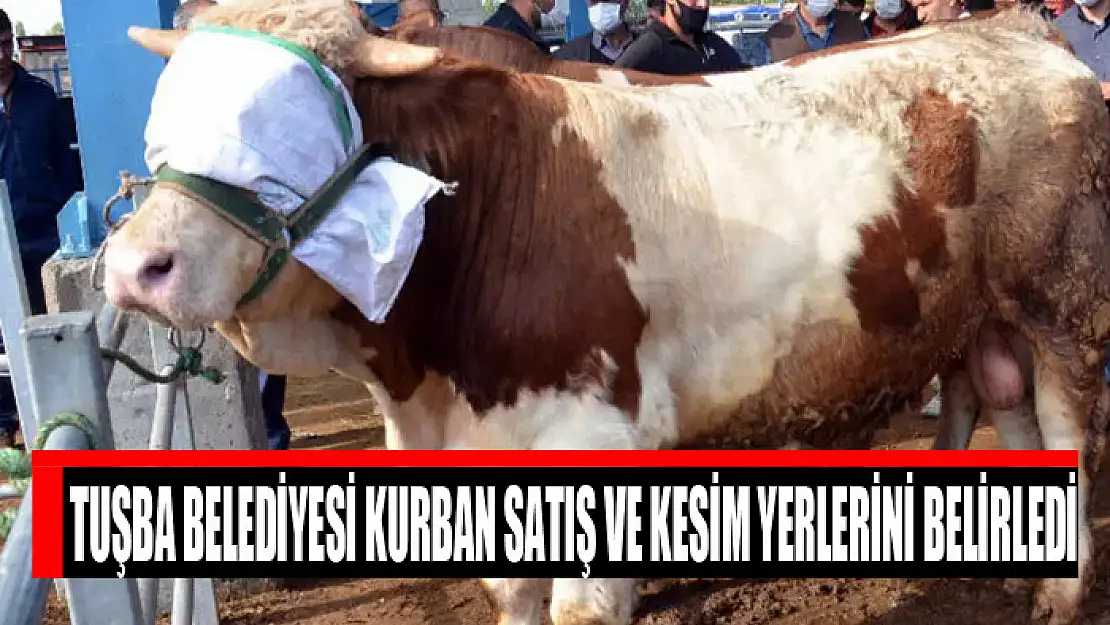 Tuşba Belediyesi kurban satış ve kesim yerlerini belirledi