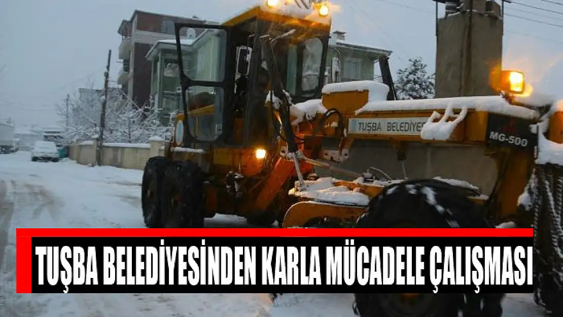 Tuşba Belediyesi'nden karla mücadele çalışması