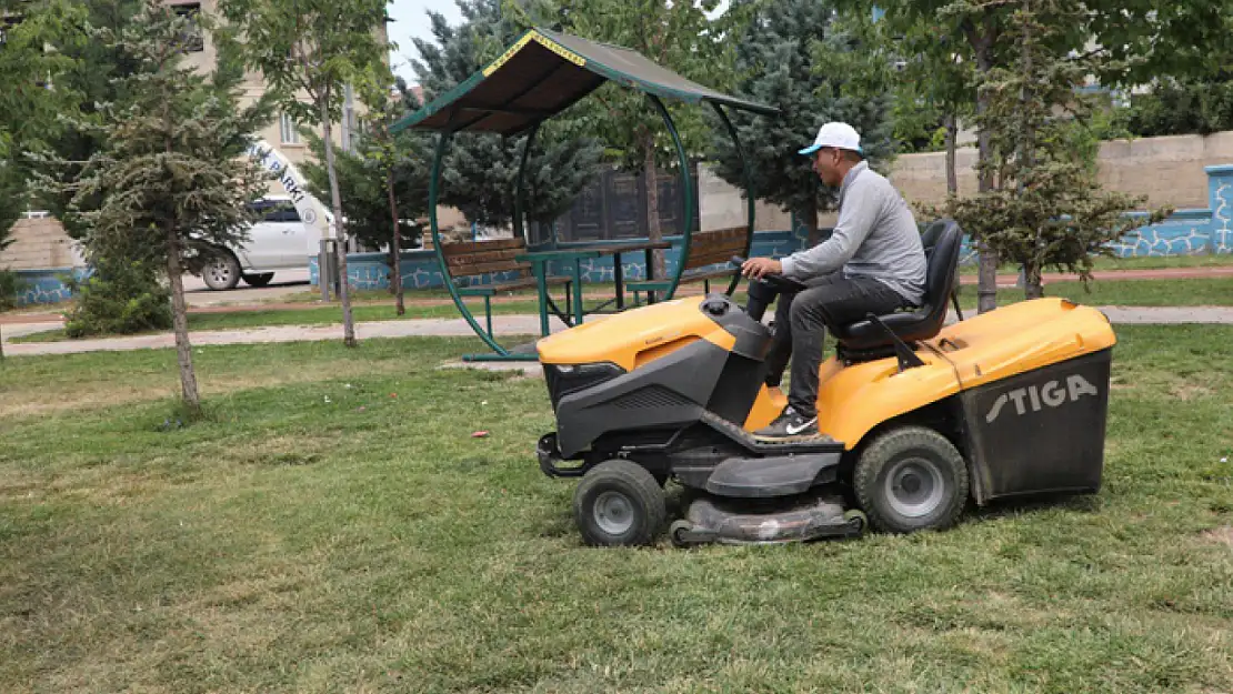 Tuşba'da çim biçme ve ağaç budama çalışması