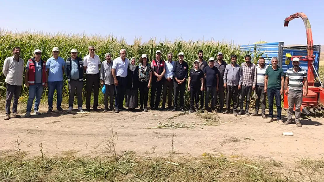 Tuşba'da silajlık mısır hasadı yapıldı
