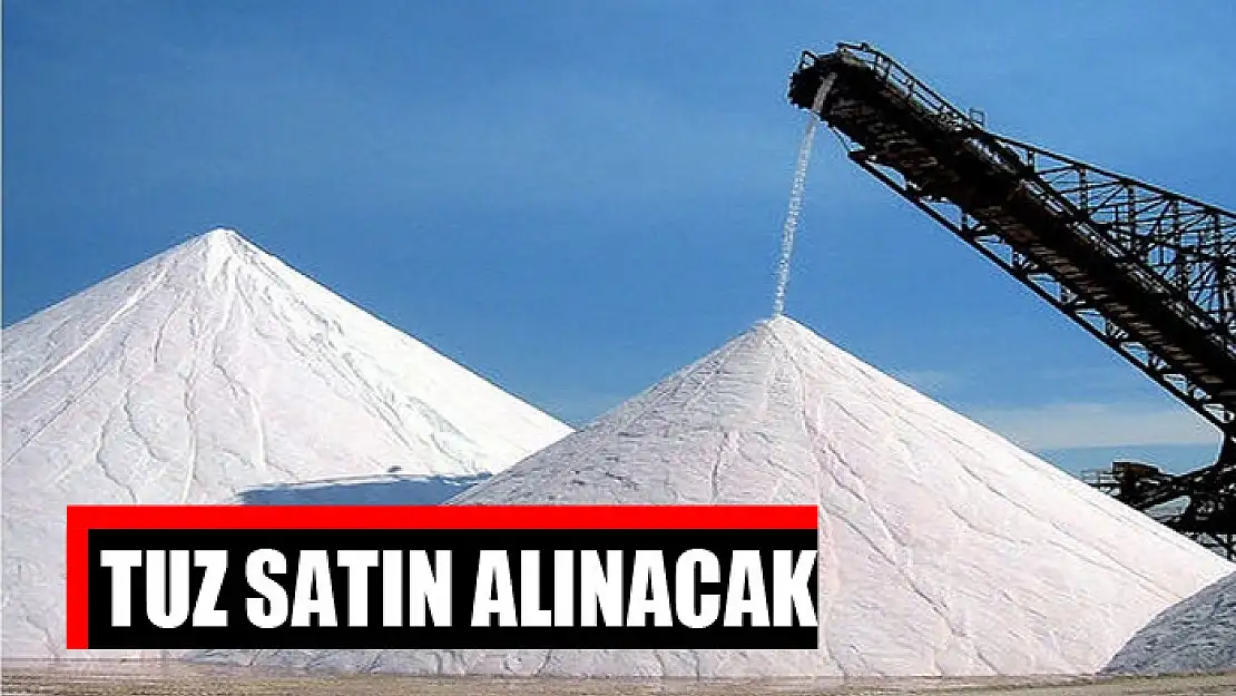 Tuz satın alınacak