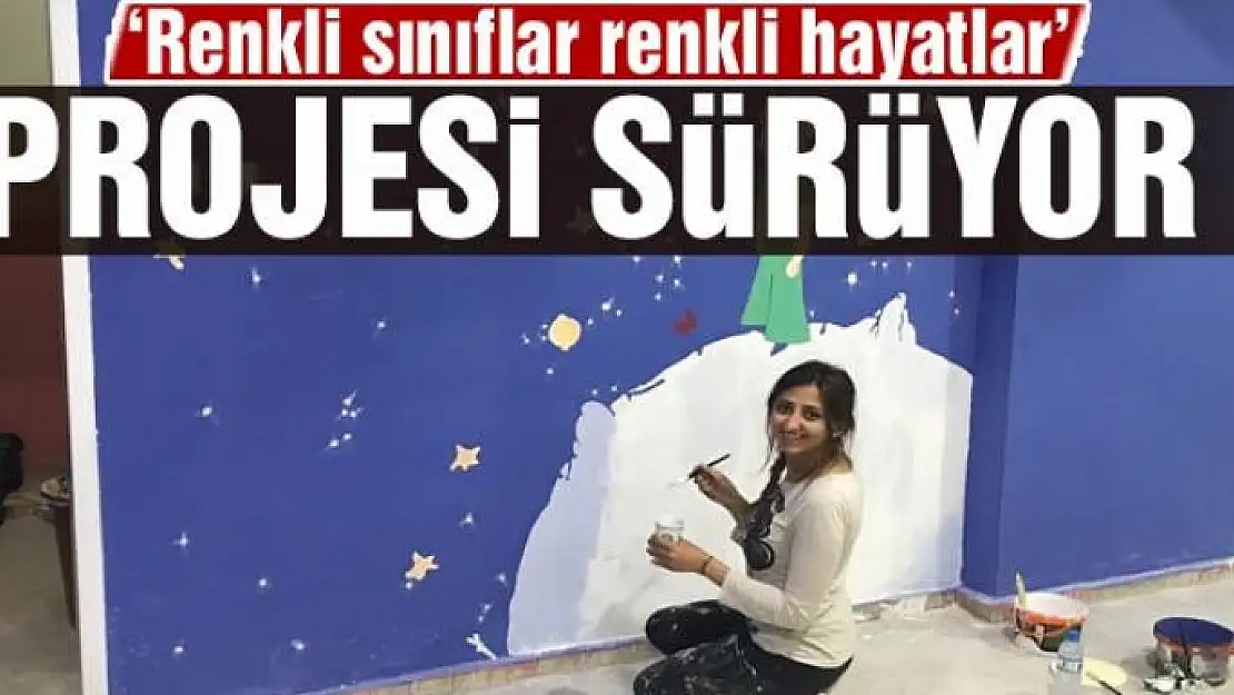 Çaldıran'da 'Renkli sınıflar renkli hayatlar' projesi