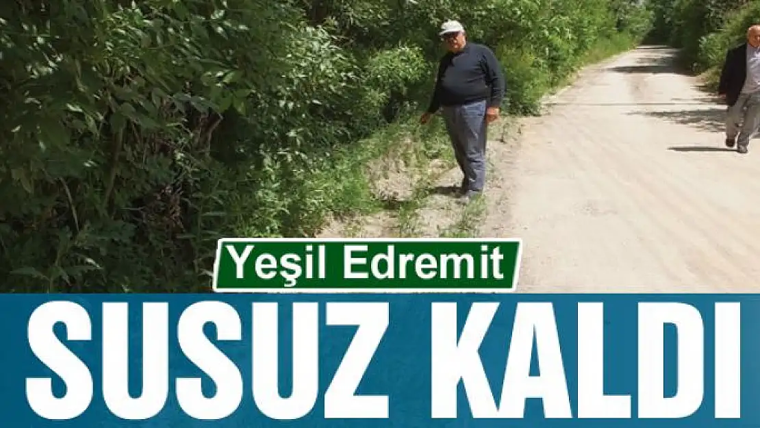 Yeşil Edremit susuz kaldı