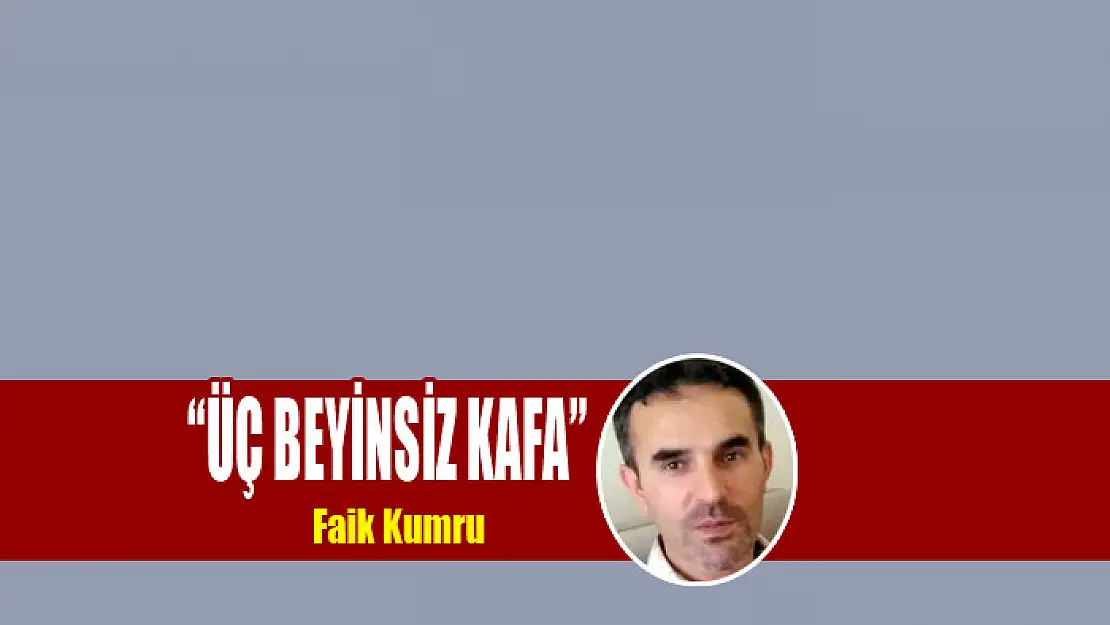 'ÜÇ BEYİNSİZ KAFA'