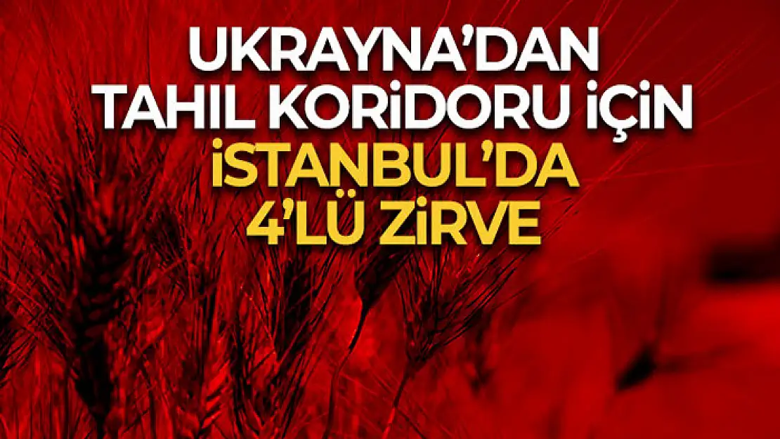 Ukrayna'dan tahıl koridoru için İstanbul'da 4'lü zirve