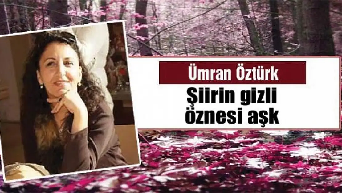 Şiirin gizli öznesi aşk