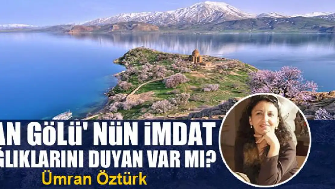 Van Gölü'nün imdat çığlıklarını duyan var mı?