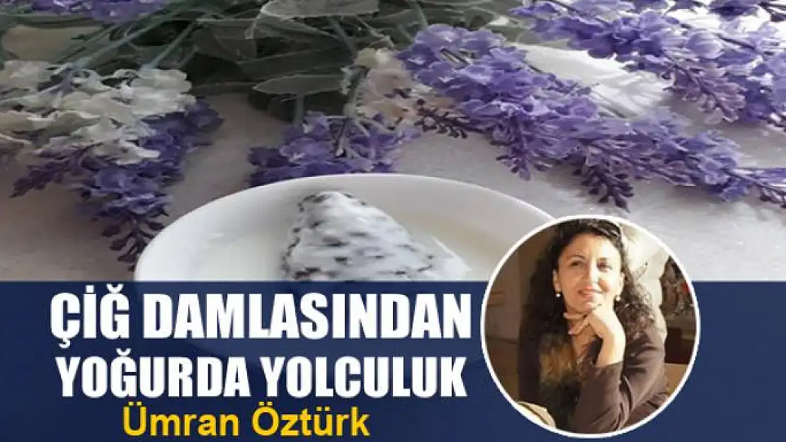 Çiğ damlasından yoğurda yolculuk