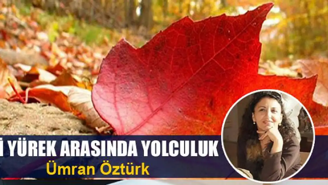 İki yürek  arasında yolculuk