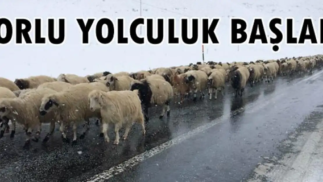 Yaylacıların zorlu dönüş yolculuğu başladı 