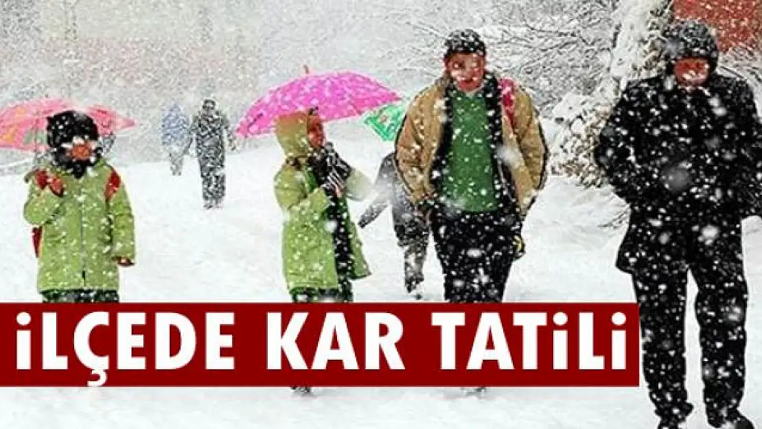 Van'da 4 ilçede okullar tatil edildi