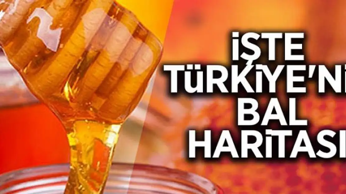 Türkiye'nin bal haritası