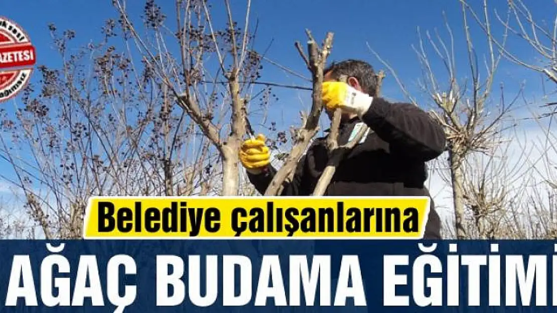 Belediye çalışanlarına ağaç budama eğitimi