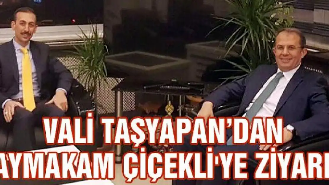 Vali Taşyapan'dan Kaymakam Çiçekli'ye ziyaret