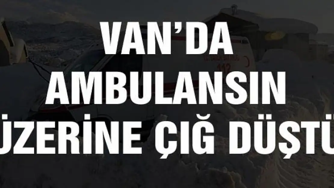 Van'da ambulansın üzerine çığ düştü 