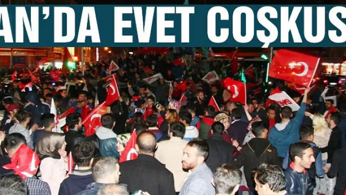 Van'da 'Evet' coşkusu