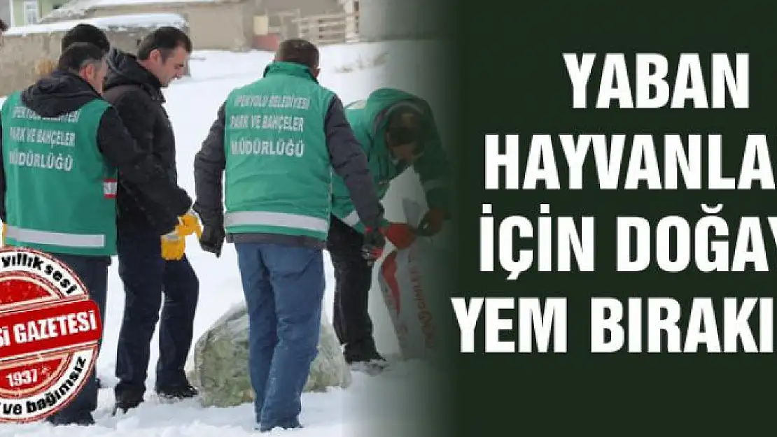 Yaban hayvanları için doğaya yem bırakıldı