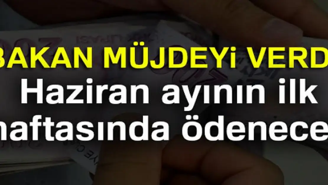 Bakan açıkladı! Haziran ayının ilk haftasında ödenecek