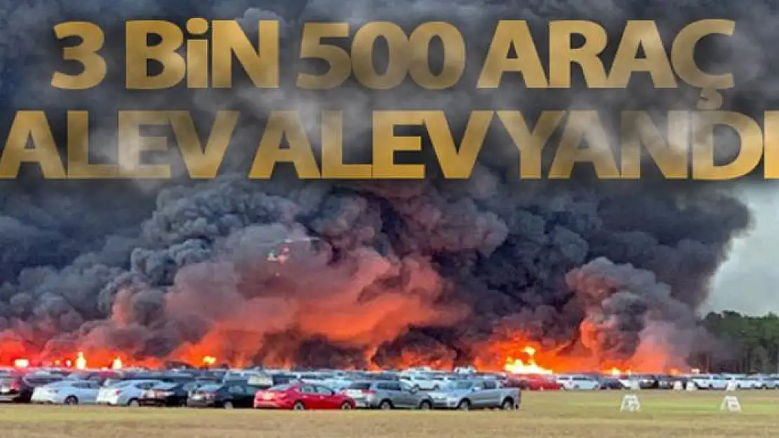 Florida'da 3 bin 500 araç alev alev yandı