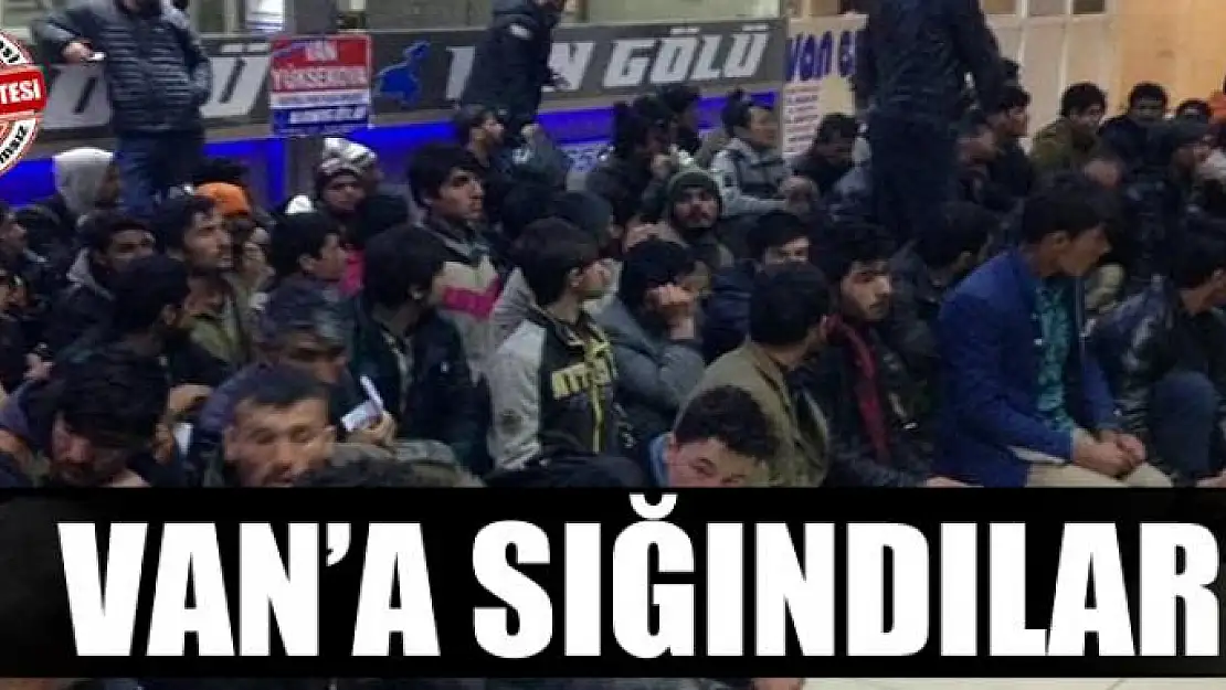 Van'a Sığındılar