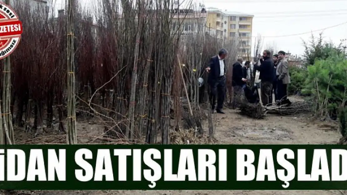 Van'da fidan satışları başladı